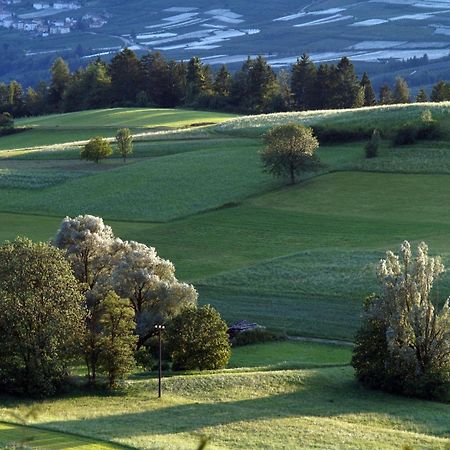 Casa Pradiei Dolomiti View กาวาเรโน ภายนอก รูปภาพ