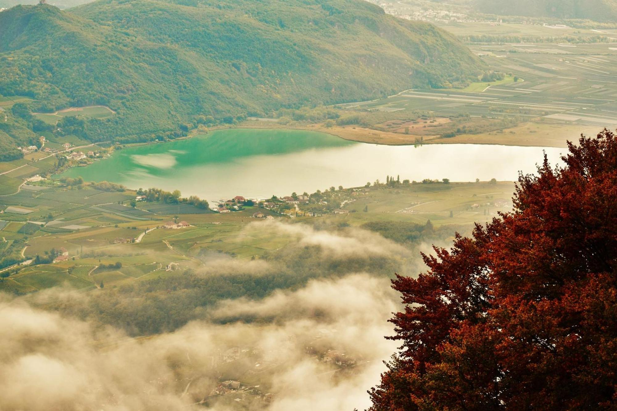 Casa Pradiei Dolomiti View กาวาเรโน ภายนอก รูปภาพ