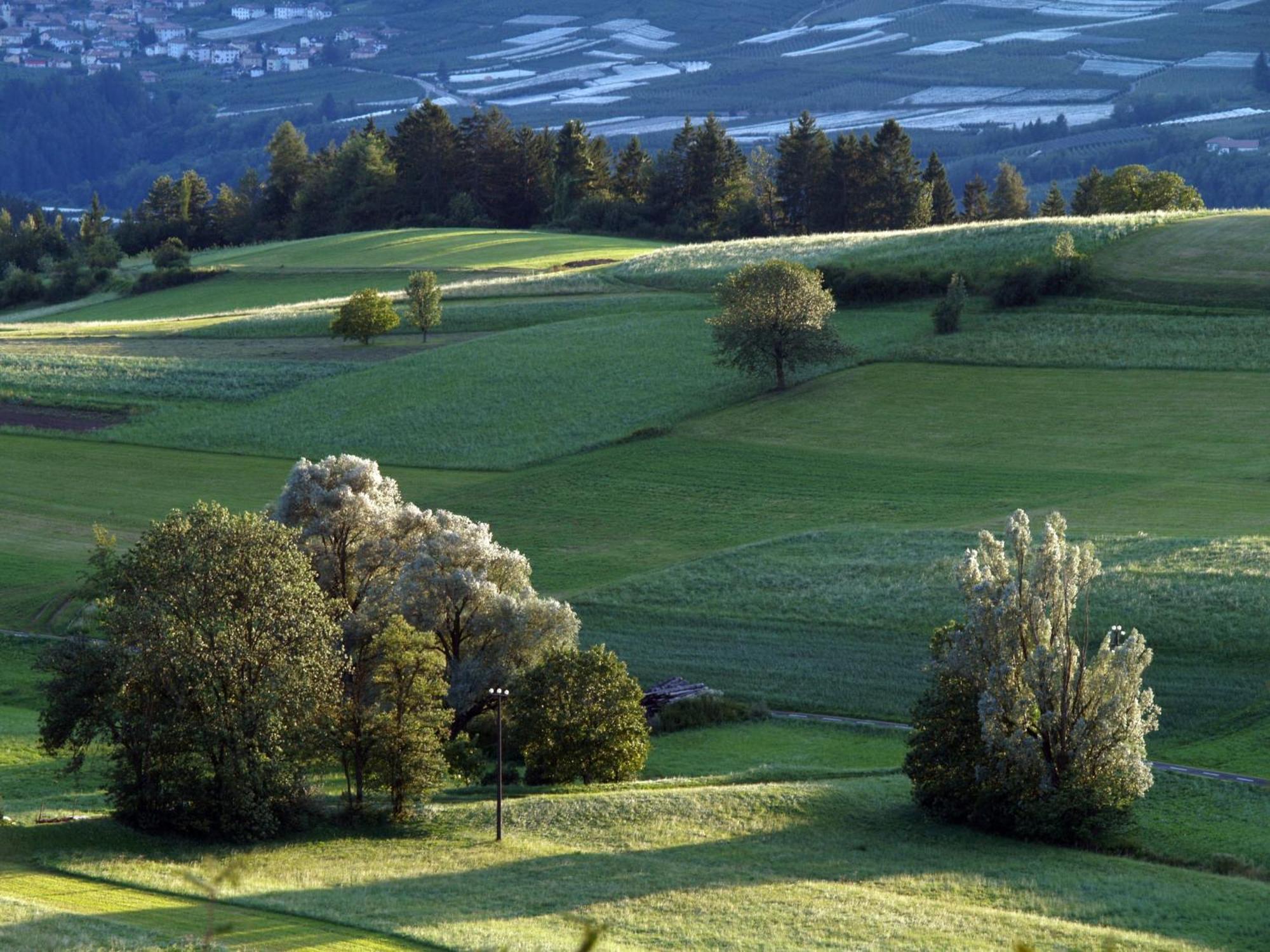Casa Pradiei Dolomiti View กาวาเรโน ภายนอก รูปภาพ